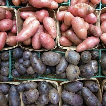 potato
